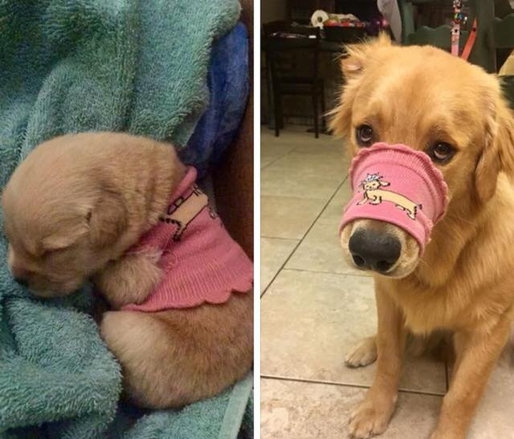 24 Heart-Wrenching Photos That Prove Time Will Never Come Back