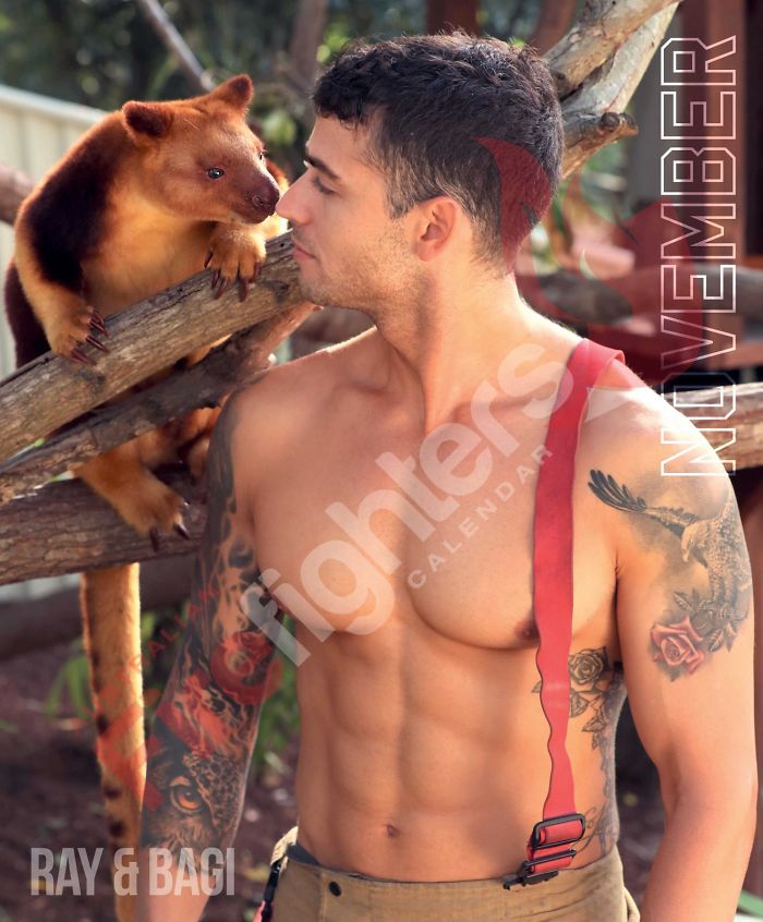 Australian-Firefighters-Animals-Calendar-2020 Australian-Firefighters-Animals-Calendar-2020