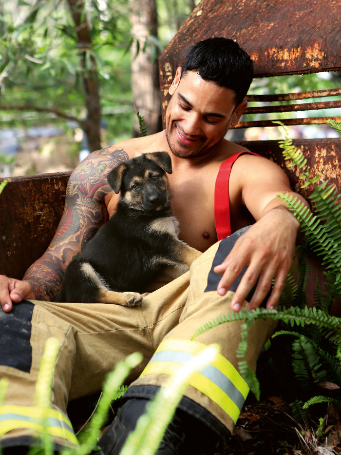 Australian-Firefighters-Animals-Calendar-2020 Australian-Firefighters-Animals-Calendar-2020