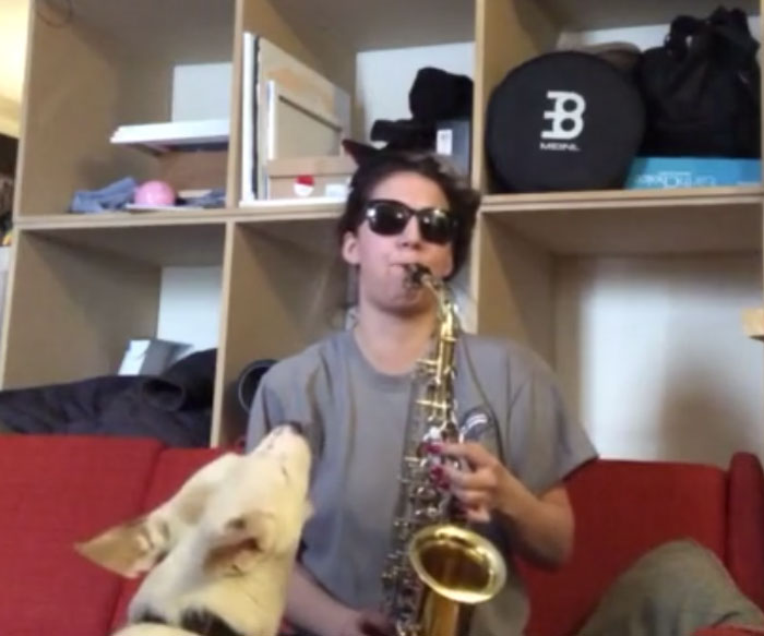 Video Of A Dog Howling While His Owner Playing Her Saxophone Small Joys