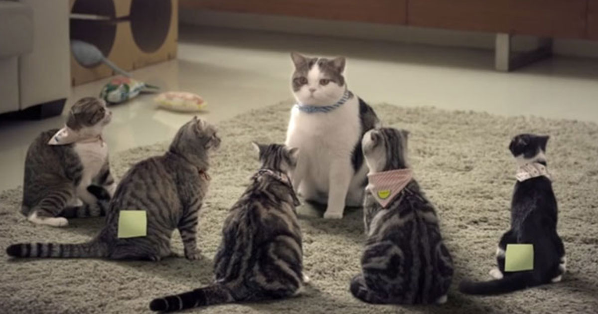 Hilarious Advertisement Of A Design Studio That Features Notorious Cats