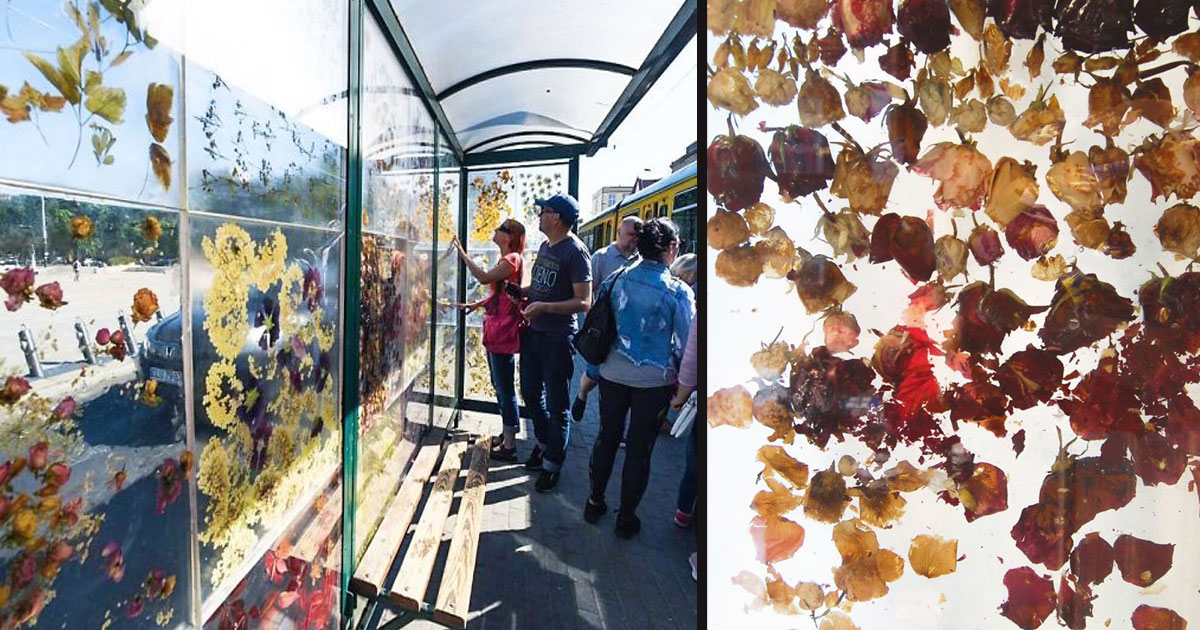 An Artist Turned An Ordinary Tram Stop Into A Beautiful Flower Museum
