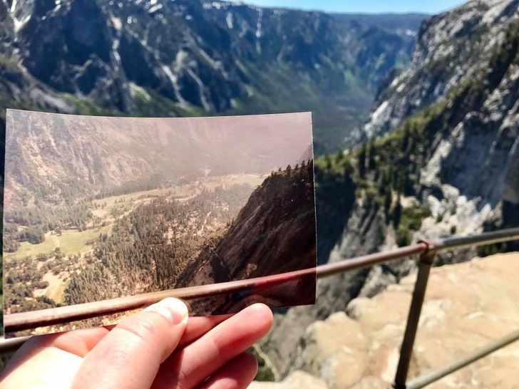 20 People Who Proudly Followed in Their Parents’ Footsteps, and It’s More Than Moving