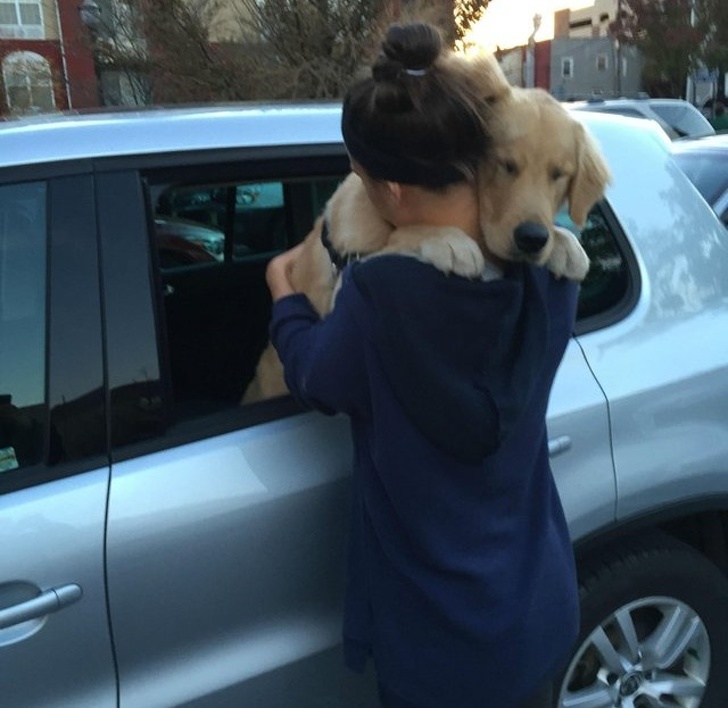 24 Dogs Who Love Their Humans So Much, Their Gazes Are Worth a Million Words