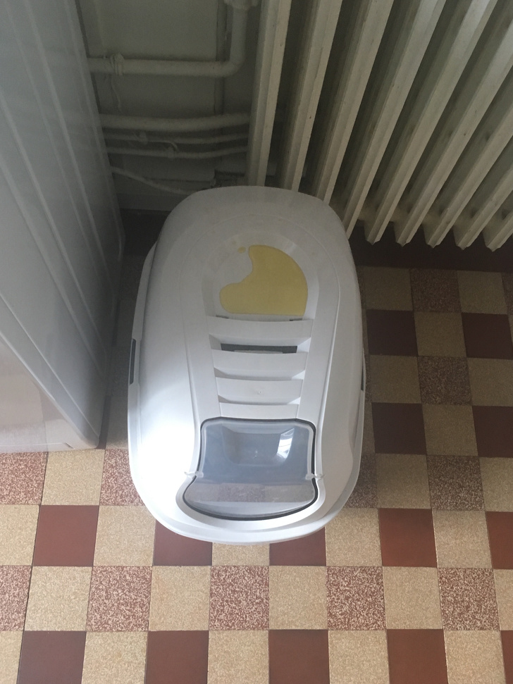 20+ Cats Who Are Good at Being Monsters