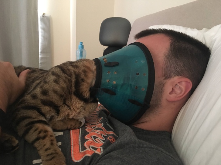 20+ Cats Who Are Good at Being Monsters