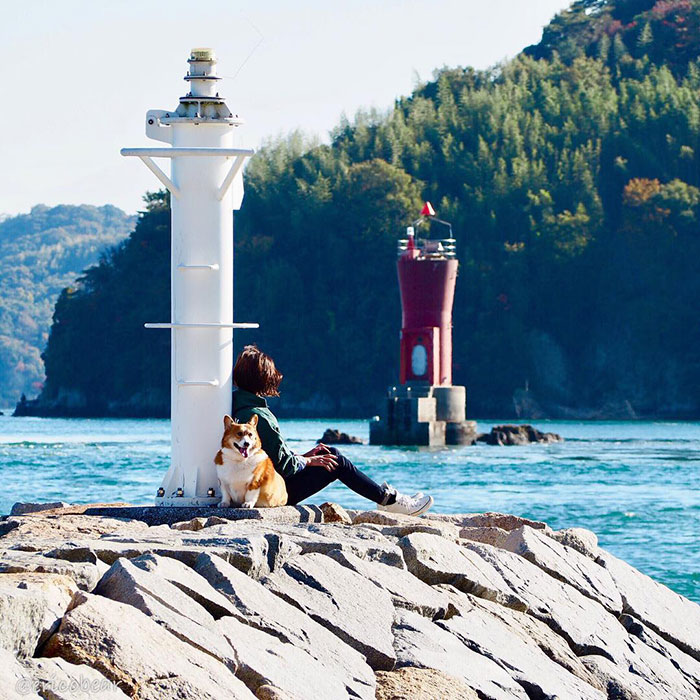 Corgi-Adventures-Ericobear