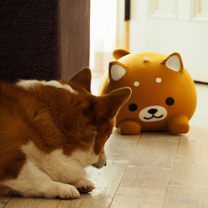 Corgi-Adventures-Ericobear