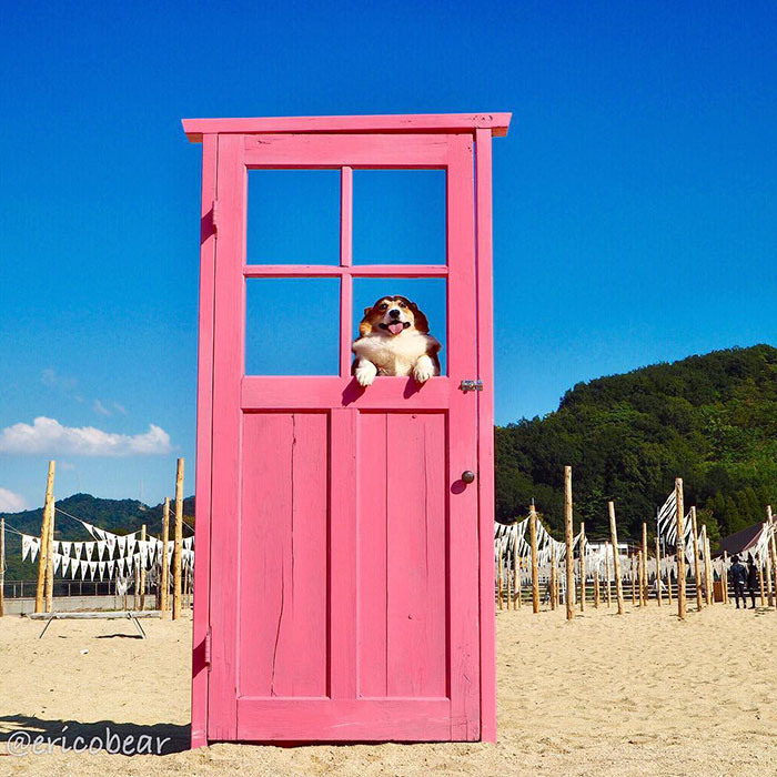 Corgi-Adventures-Ericobear