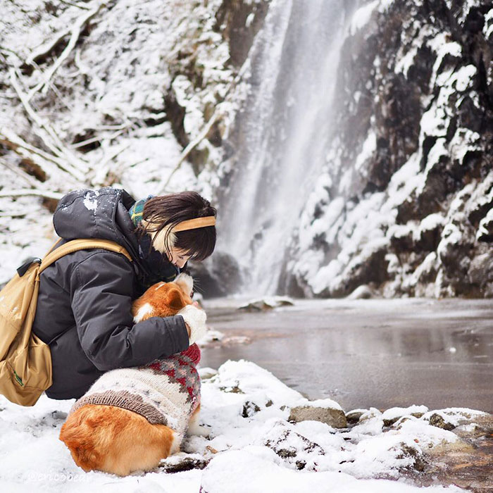 Corgi-Adventures-Ericobear