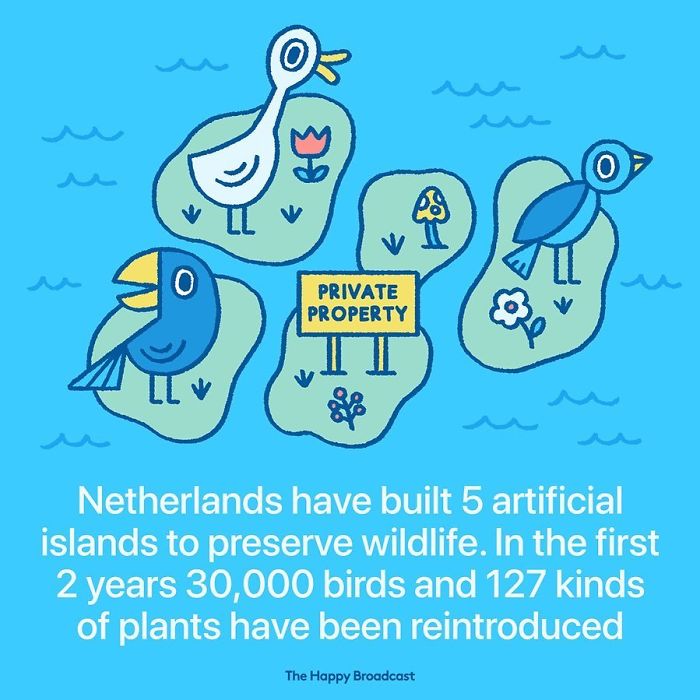 Positive-News-2019-Illustrations-Mauro-Gatti Positive-News-2019-Illustrations-Mauro-Gatti