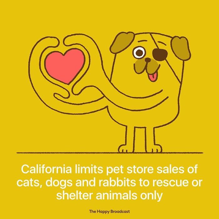 Positive-News-2019-Illustrations-Mauro-Gatti Positive-News-2019-Illustrations-Mauro-Gatti