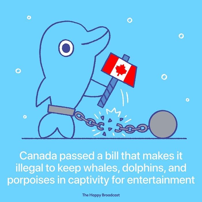 Positive-News-2019-Illustrations-Mauro-Gatti Positive-News-2019-Illustrations-Mauro-Gatti