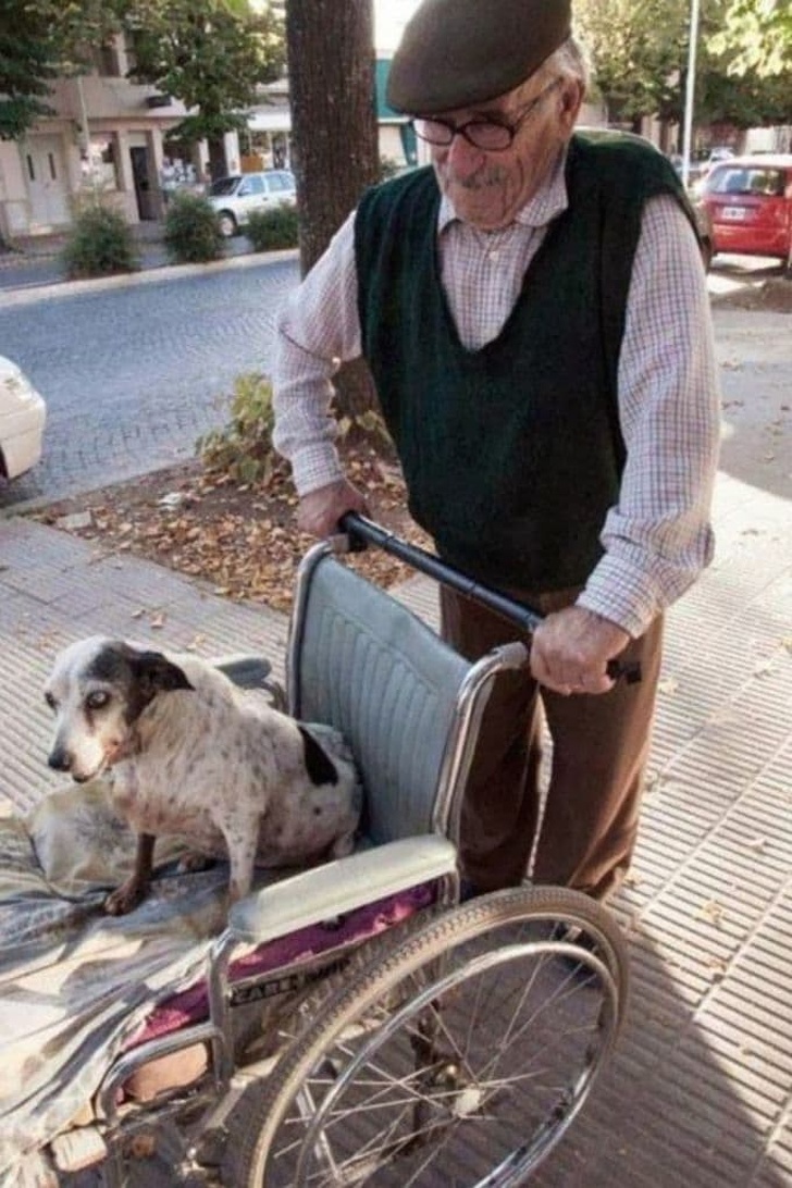 24 Emotional Photos That Will Touch Every Soul and Warm Every Heart