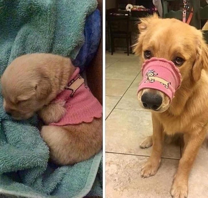 24 Emotional Photos That Will Touch Every Soul and Warm Every Heart