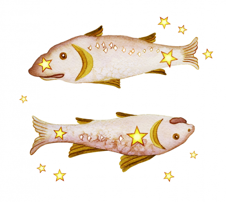 「魚座　kufura.jp」の画像検索結果