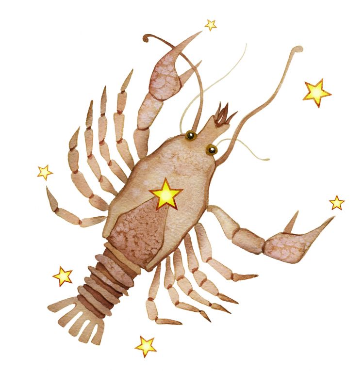 【蟹座5月の運勢】イヴルルド遙華が占う12星座別・2018年5月