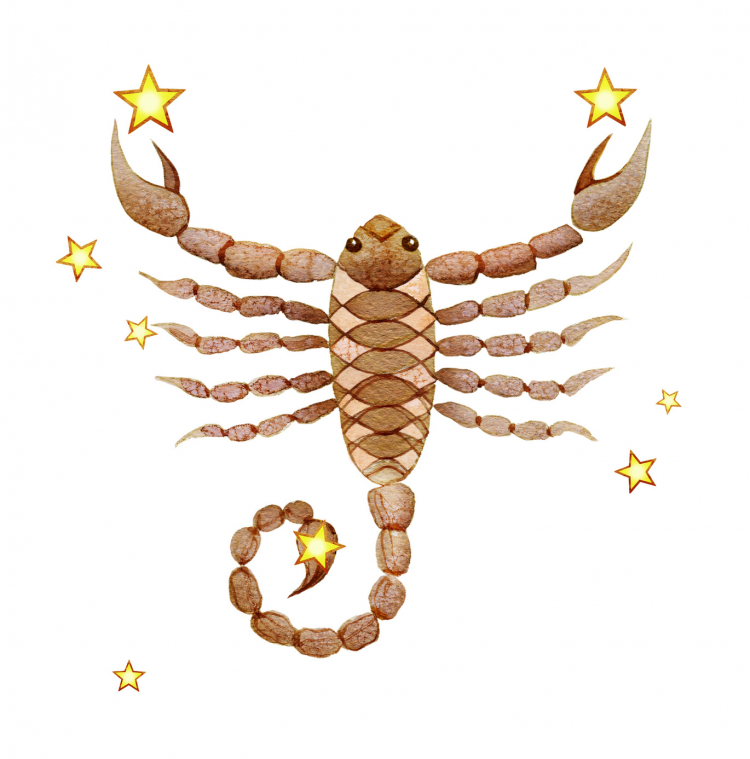 「蠍座　kufura.jp」の画像検索結果