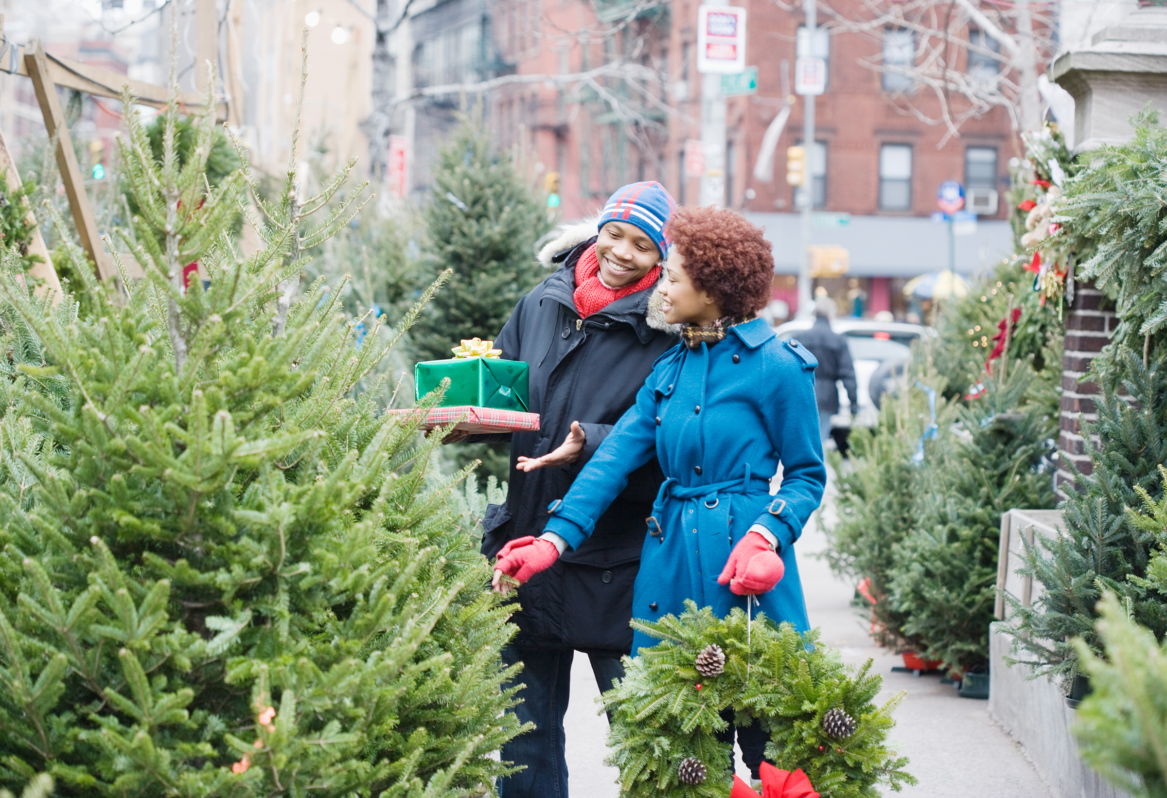 новогодняя елка в квартире. девочка новый год. большая живая елка. лапник из пихты. живая ель в квартире.