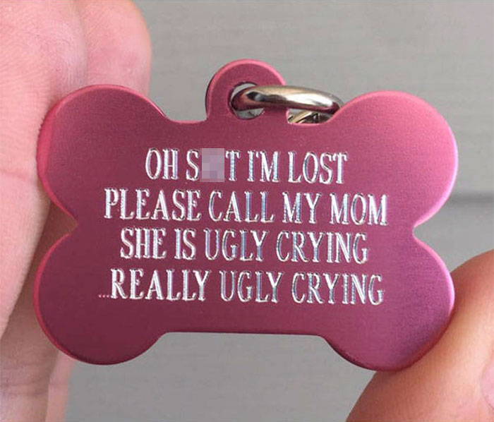 Funny Name Tags For Pets In Case They Get Lost Small Joys