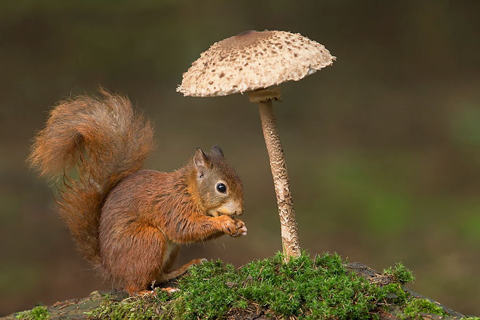 A Rainy Day A Rainy Day