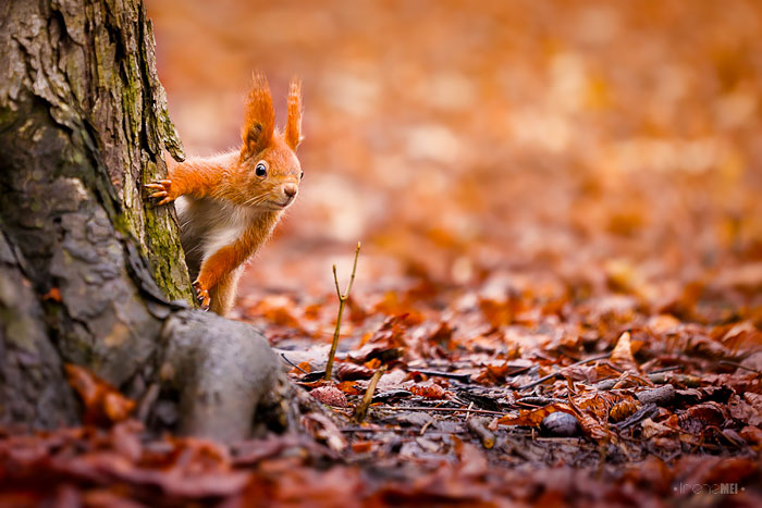 Suddenly… Suddenly…