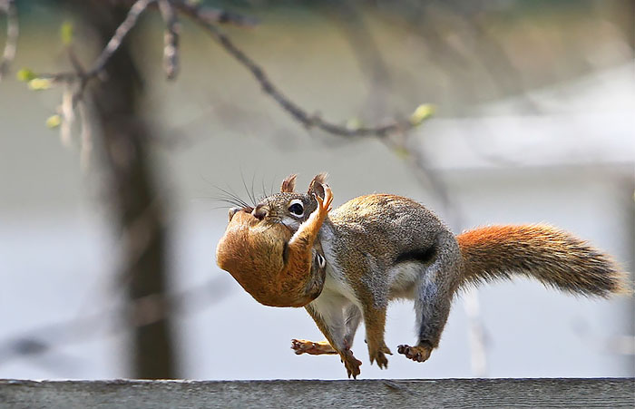 Hold On, We Are Moving! Hold On, We Are Moving!