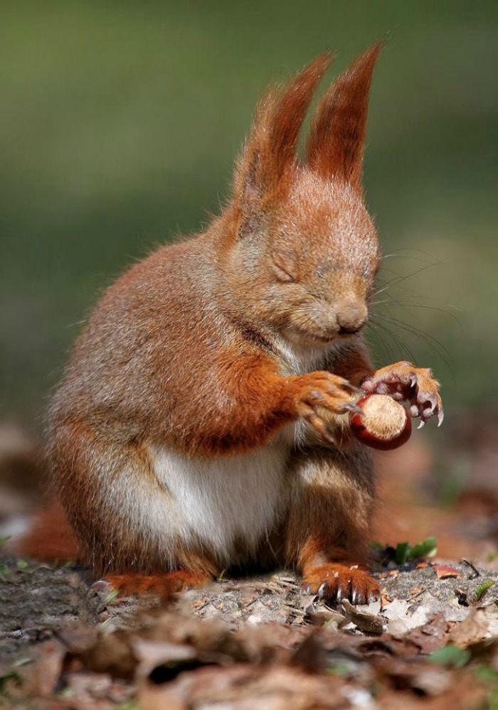 The Force Is Strong In This One The Force Is Strong In This One