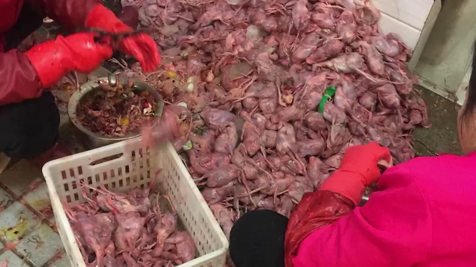 Resultado de imagen de mercado Wuhan"