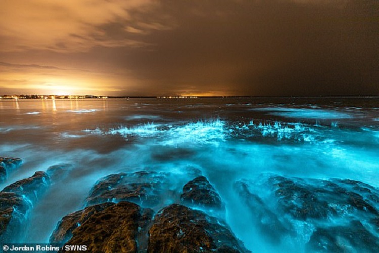 Photographer Mesmerized As He Ran His Hand Through Glowing ...