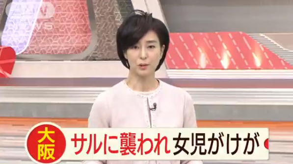 headlines.yahoo.co.jp