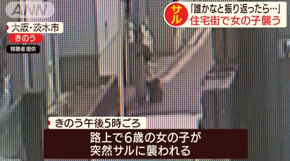 headlines.yahoo.co.jp