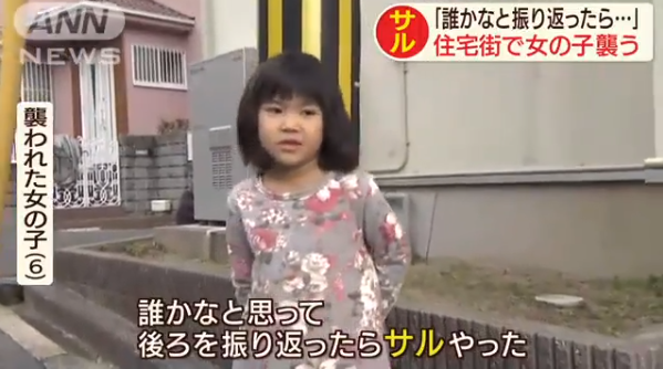 headlines.yahoo.co.jp