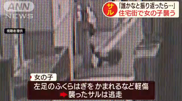 headlines.yahoo.co.jp