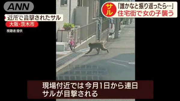 headlines.yahoo.co.jp