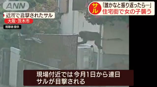 headlines.yahoo.co.jp