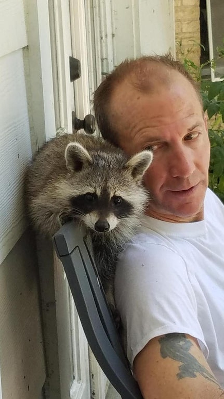 20 Pets That Have Enough Love for the Entire World