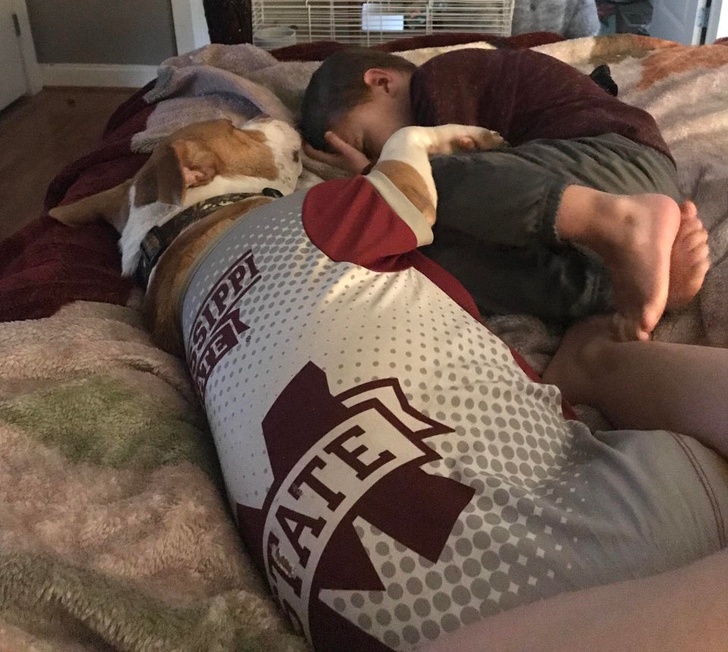 20 Pets That Have Enough Love for the Entire World