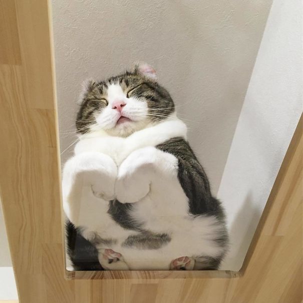 Feeling Sleepy Feeling Sleepy