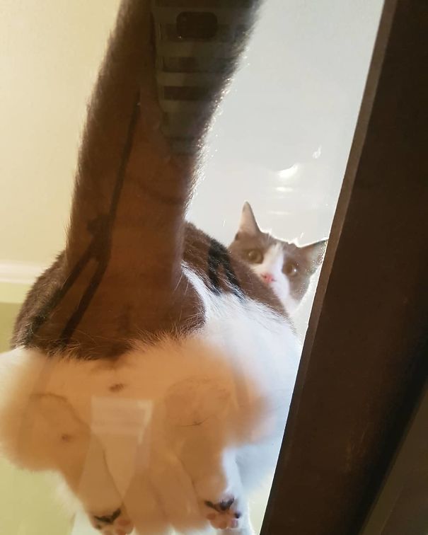 Human If You Post This We Are Going To Have Problems Human If You Post This We Are Going To Have Problems