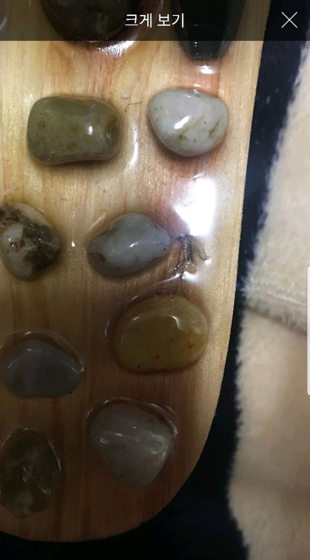 쿠팡의 찐 긍정왕.jpg (보면 행복해짐ㅋㅋㅋㅋㅋㅋㅋㅋㅋㅋㅋㅋㅋㅋㅋ) | 인스티즈