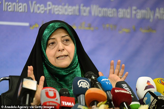 Iranian Vice President for Women and Family Affairs Masoumeh Ebtekar makes a speech in Tehran last January