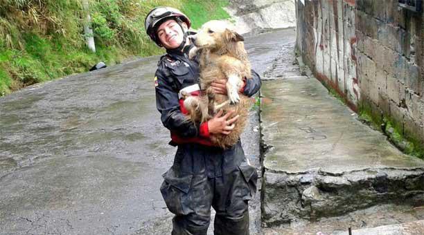 Resultado de imagen de rescatan perro de la tierra