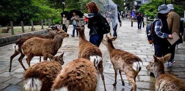huffingtonpost.jp