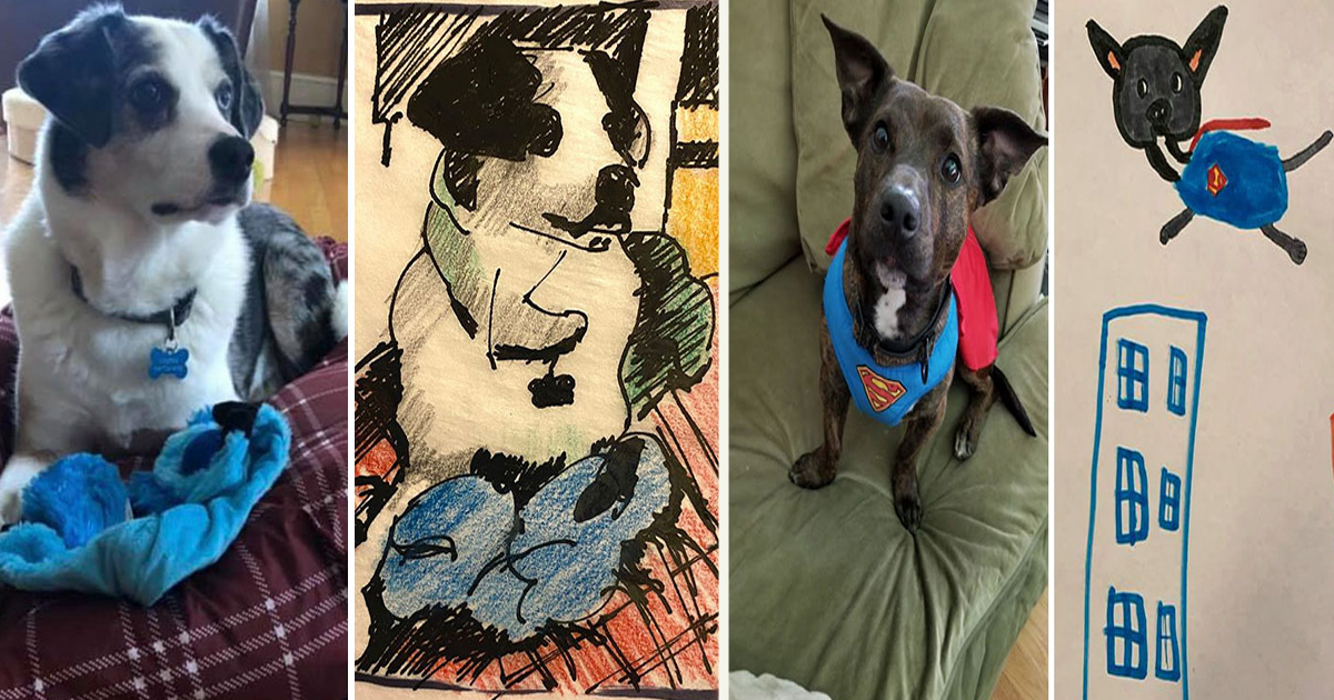 Humane Society Promised To Turn Pets Into 'Timeless' Works Of Art For A