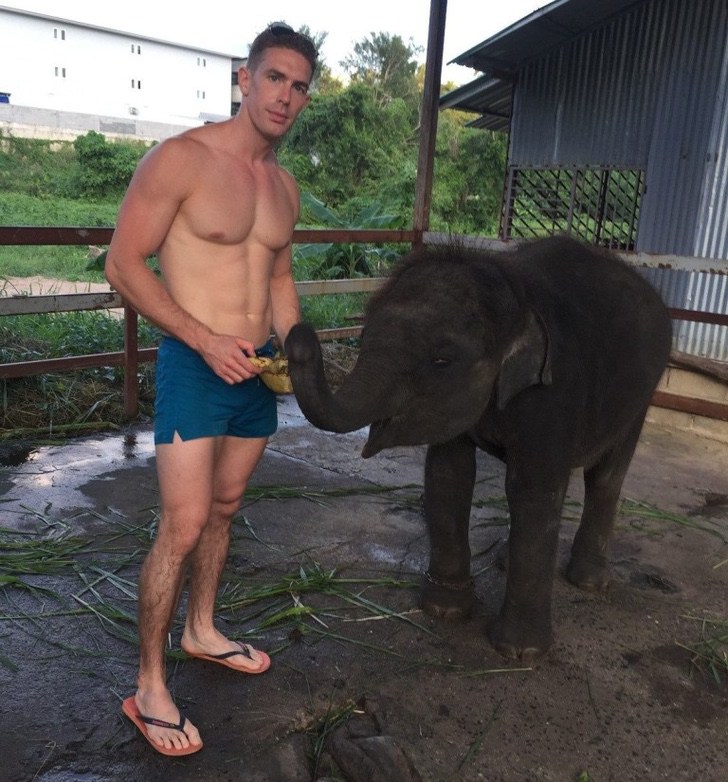 Resultado de imagen de meena elefante tailandia