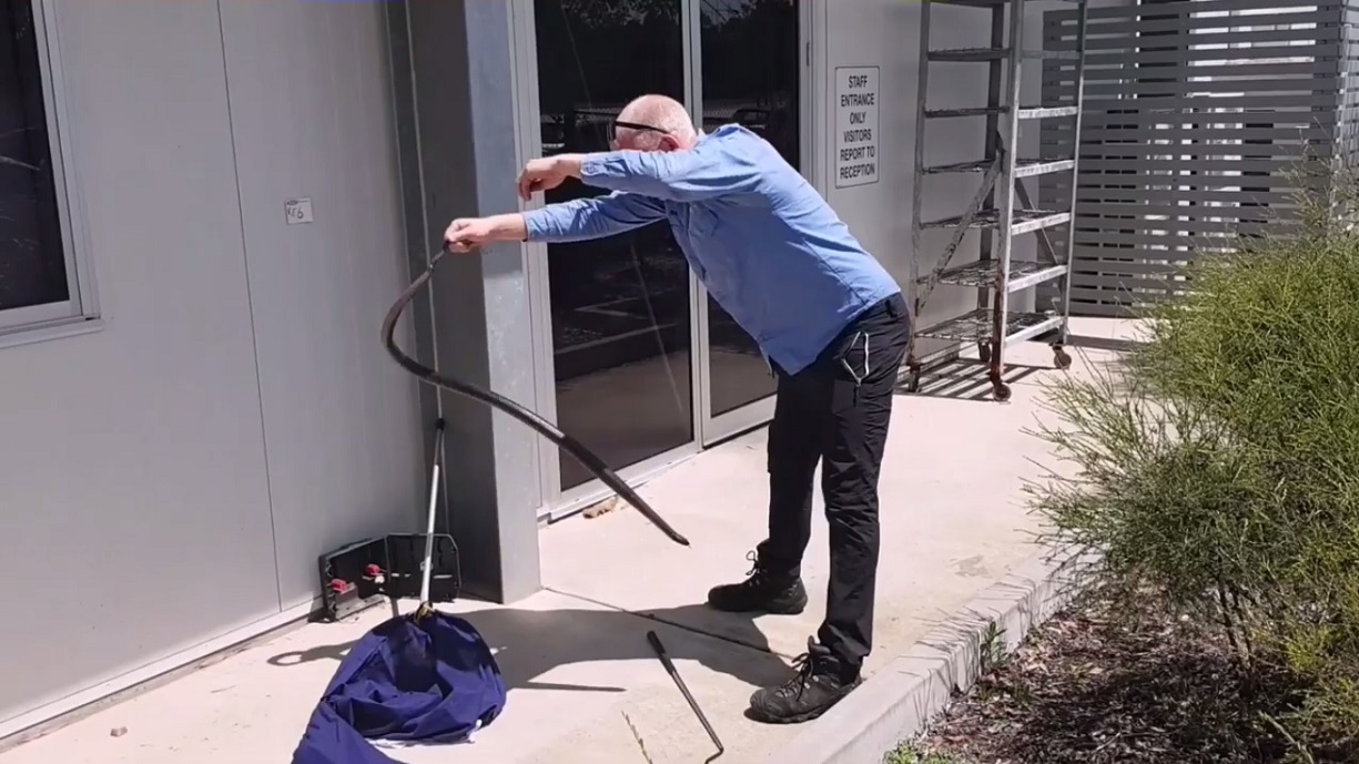 Resultado de imagen de Stuart McKenzie cazador serpiente