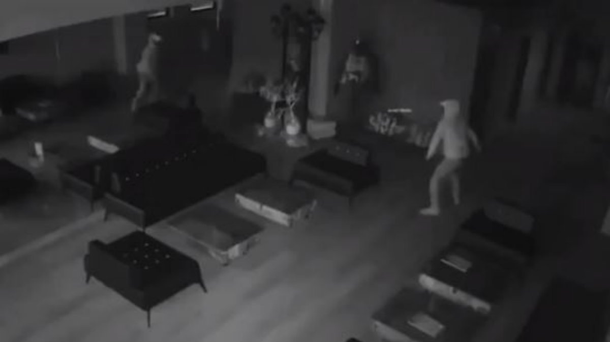 Resultado de imagen de ladron se asusta luego de ver su reflejo y huye