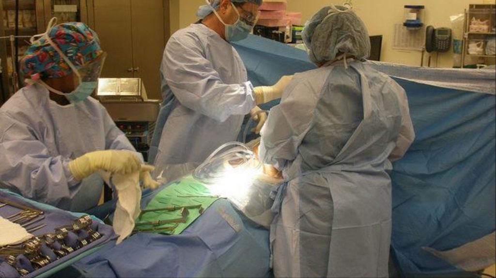 Resultado de imagen de mujer tenia tortuga en vagina