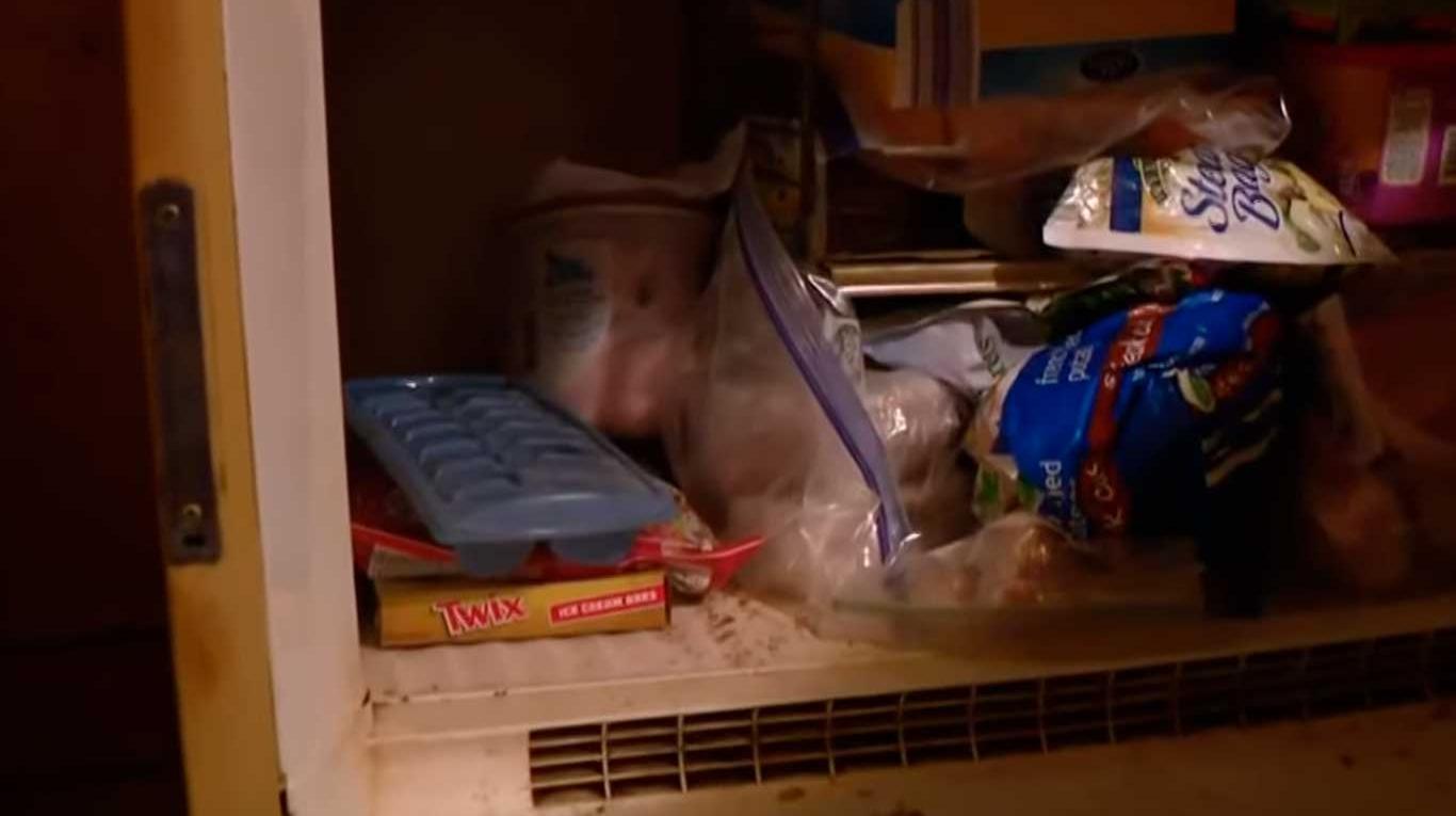 Resultado de imagen de Adam Smith bebe congelador